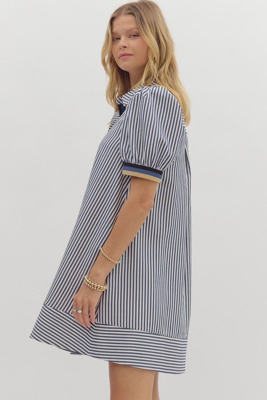 THE STRIPED PUFF SLEEVE SHIRT DRESS